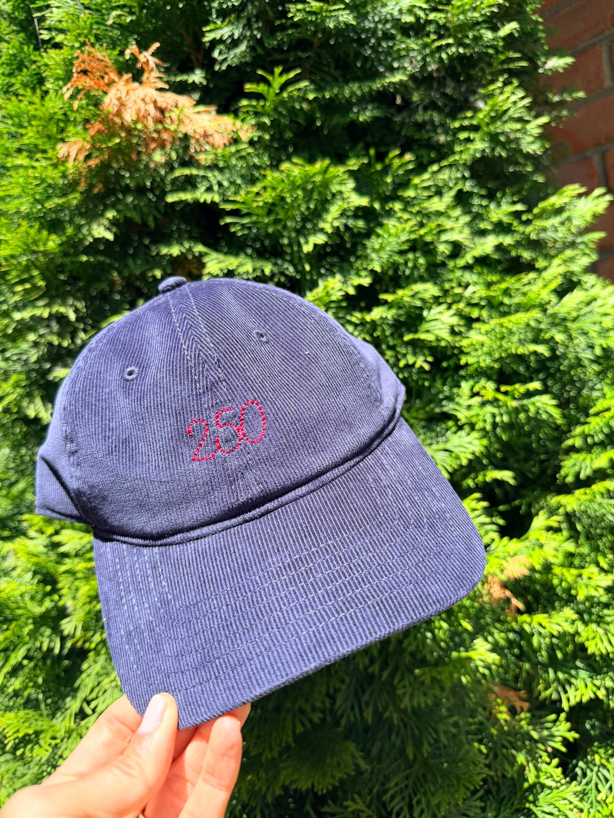 250 Hat