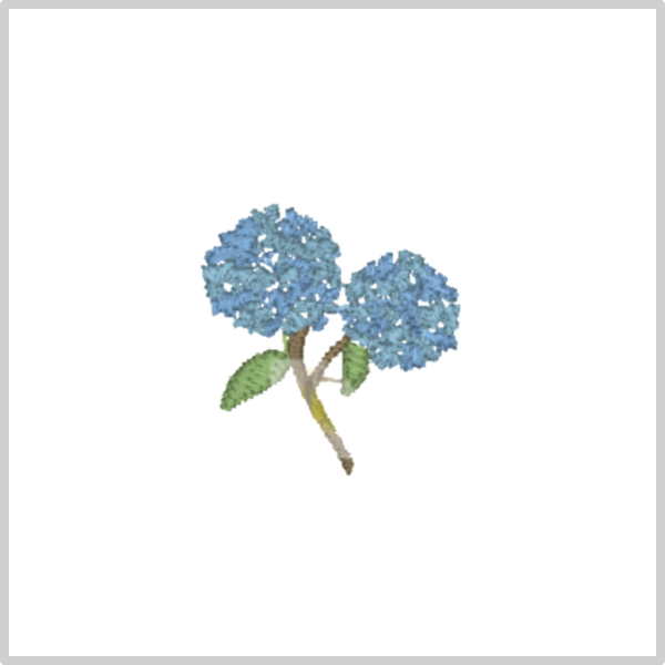 Hydrangea